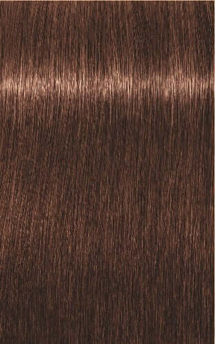 Igora Royal Color 6-68 Dark Blonde Chocolate Red